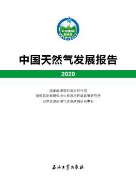 2020中國天然氣發(fā)展報告（含2017、2018、2019、2020）